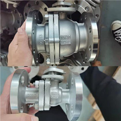 Katup Bola Bergelang Ss