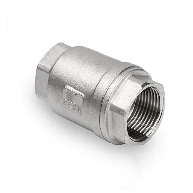 Ss Vertical Check Valve