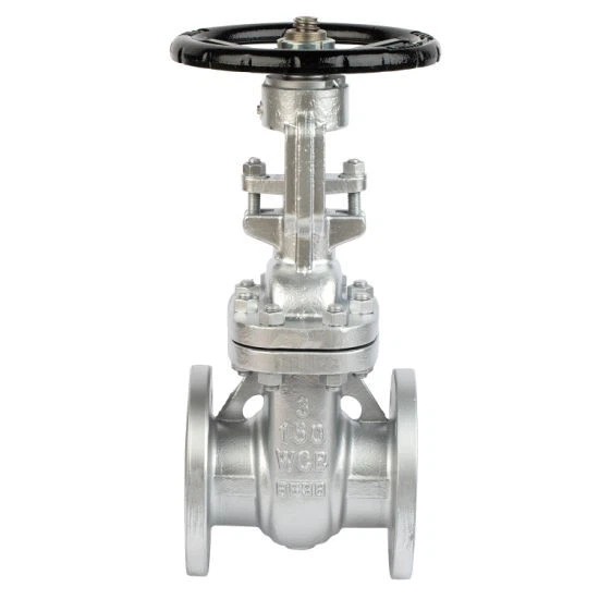 Stainless Steel Flanged Gate Valve